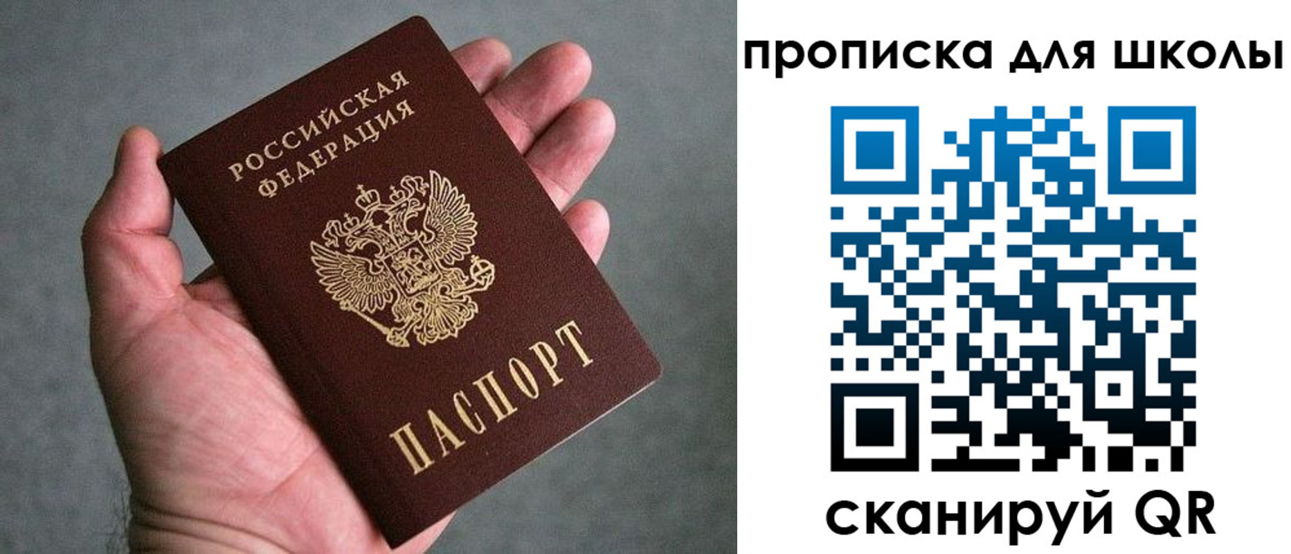 прописка для школы в Ардоне